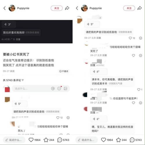 小红书粉丝自助下单，让你的社交影响力倍增