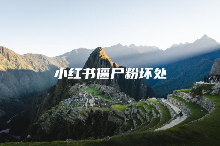 # 警惕虚假繁荣!小红书“僵尸粉”购买:一场自毁前程的闹剧