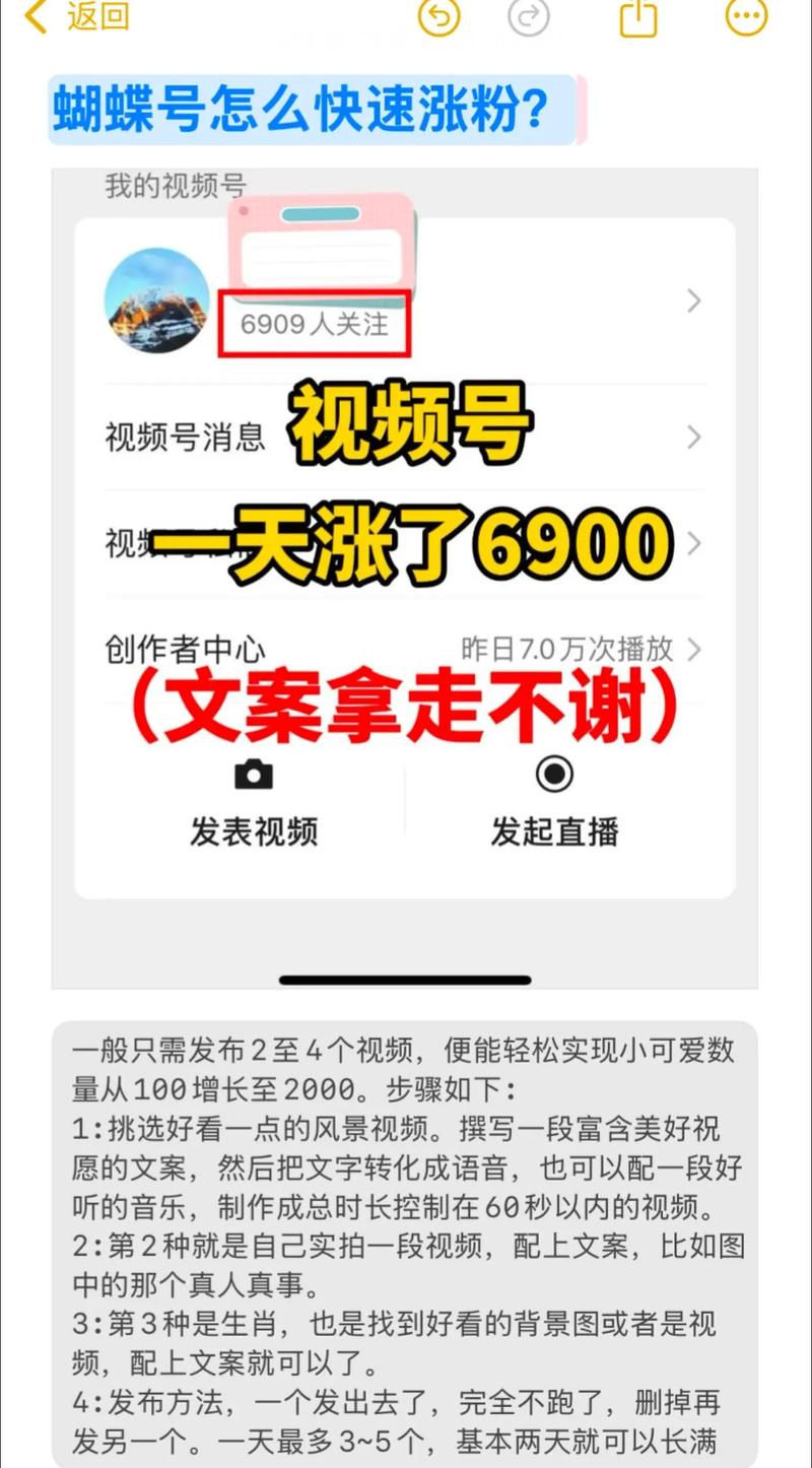 标题：视频号涨粉秘籍大公开：避开误区，科学运营实现粉丝量质齐飞