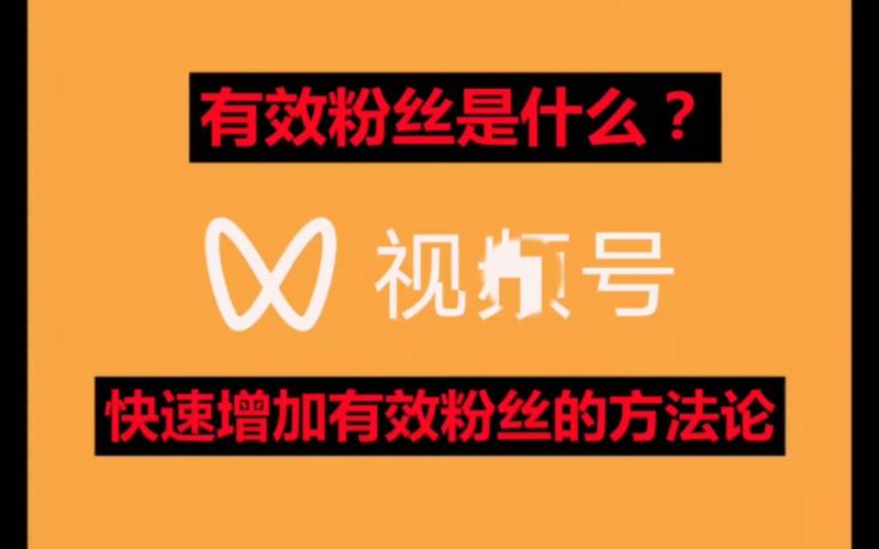 标题：揭秘视频号粉丝增长真相：买粉狂欢背后的陷阱与长效运营之道