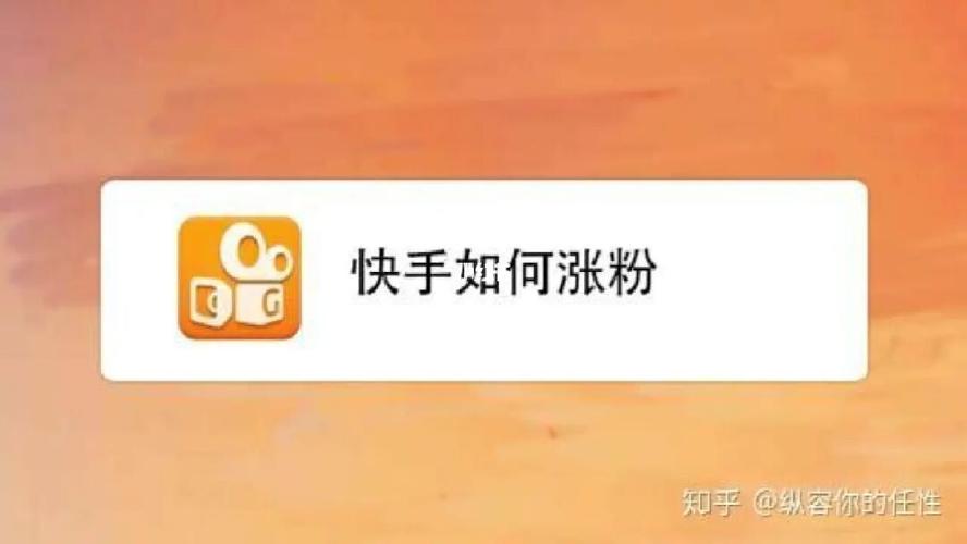 如何高效使用快手刷粉电脑版？一篇文章让你成为专家！