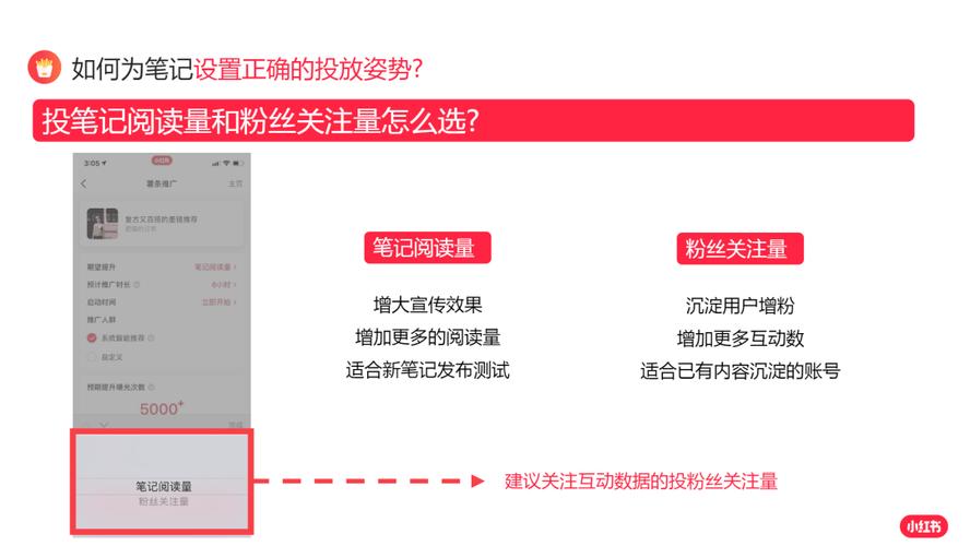 小红书粉丝增长秘诀：买粉网站的实战指南