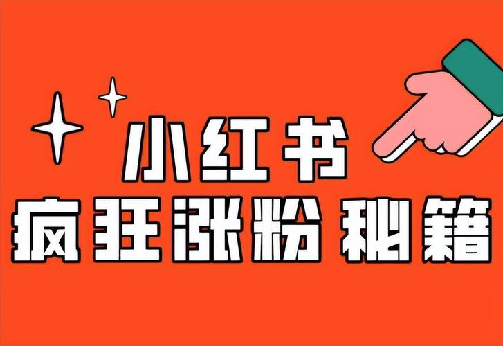 标题：🔥小红书吸粉秘籍大公开！内容为王，让你的账号火速出圈✨