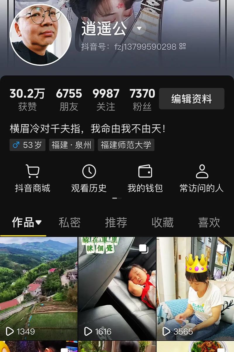 抖音免费刷赞网站,让你的短视频更具吸引力