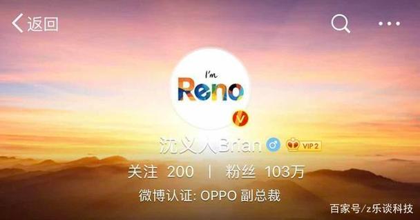 微博粉丝增长秘诀大揭秘：自助下单平台的魔力何在？