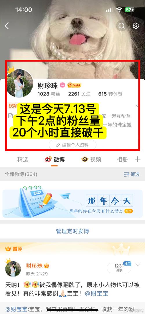 揭秘微博涨粉神器:自助下单刷粉,效果惊人!