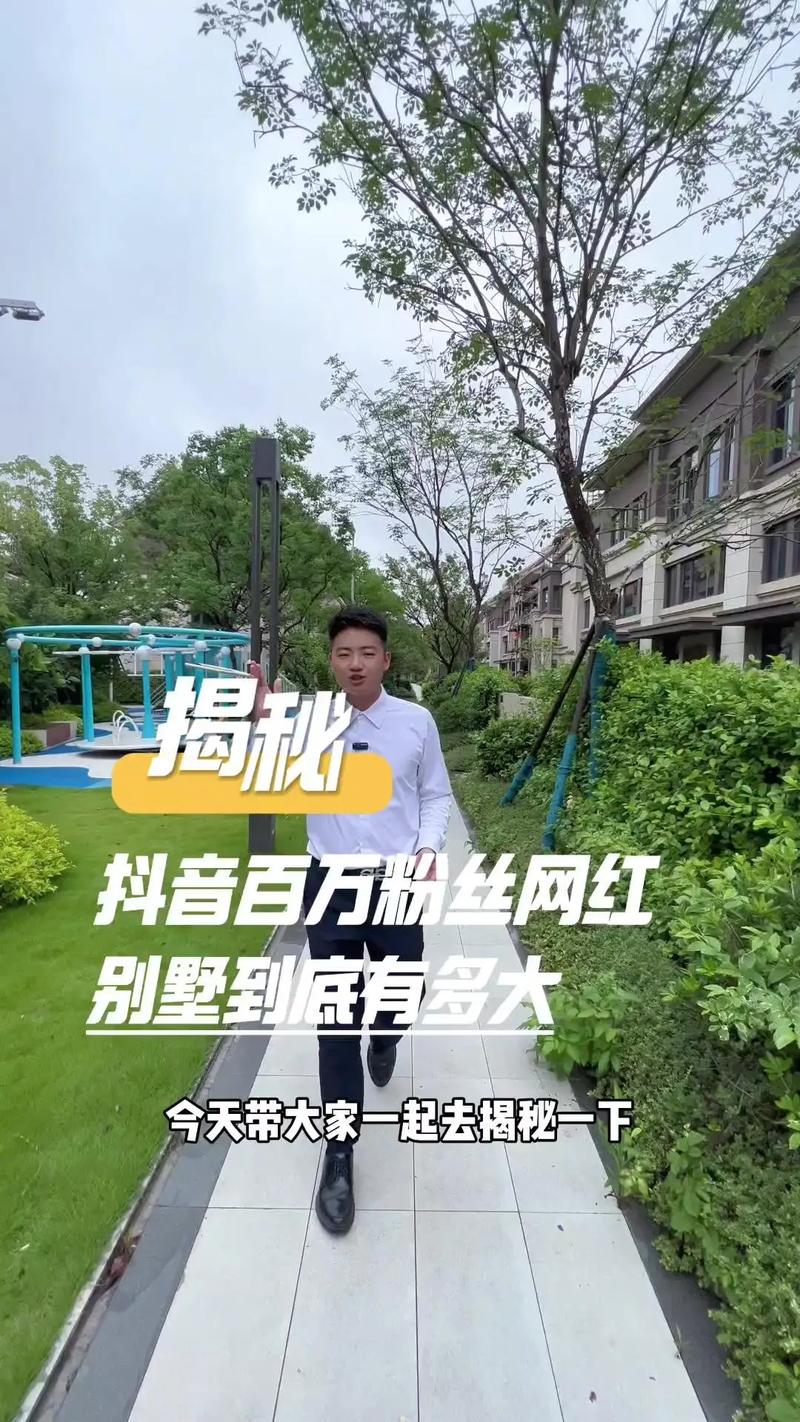 标题:揭秘“速成网红”陷阱:购买1000粉丝抖音号,是捷径还是深渊?