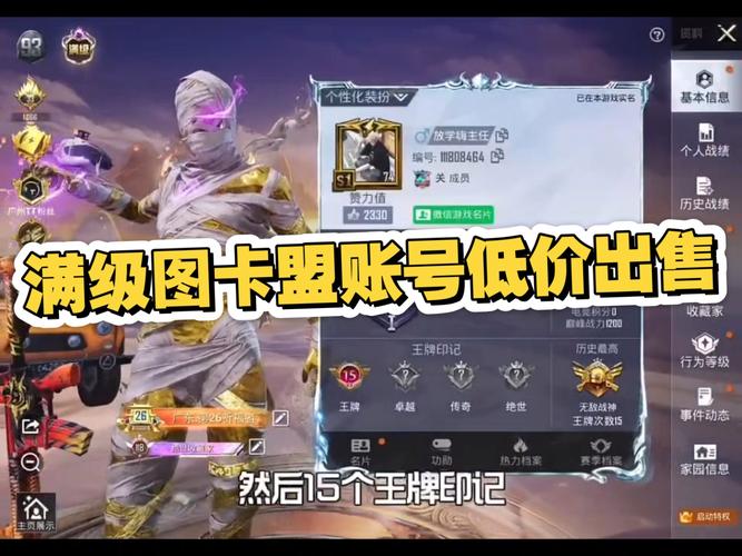 和平精英挂卡盟在线自助下单,探索与体验和平精英挂卡盟：在线自助下单的魅力之旅!