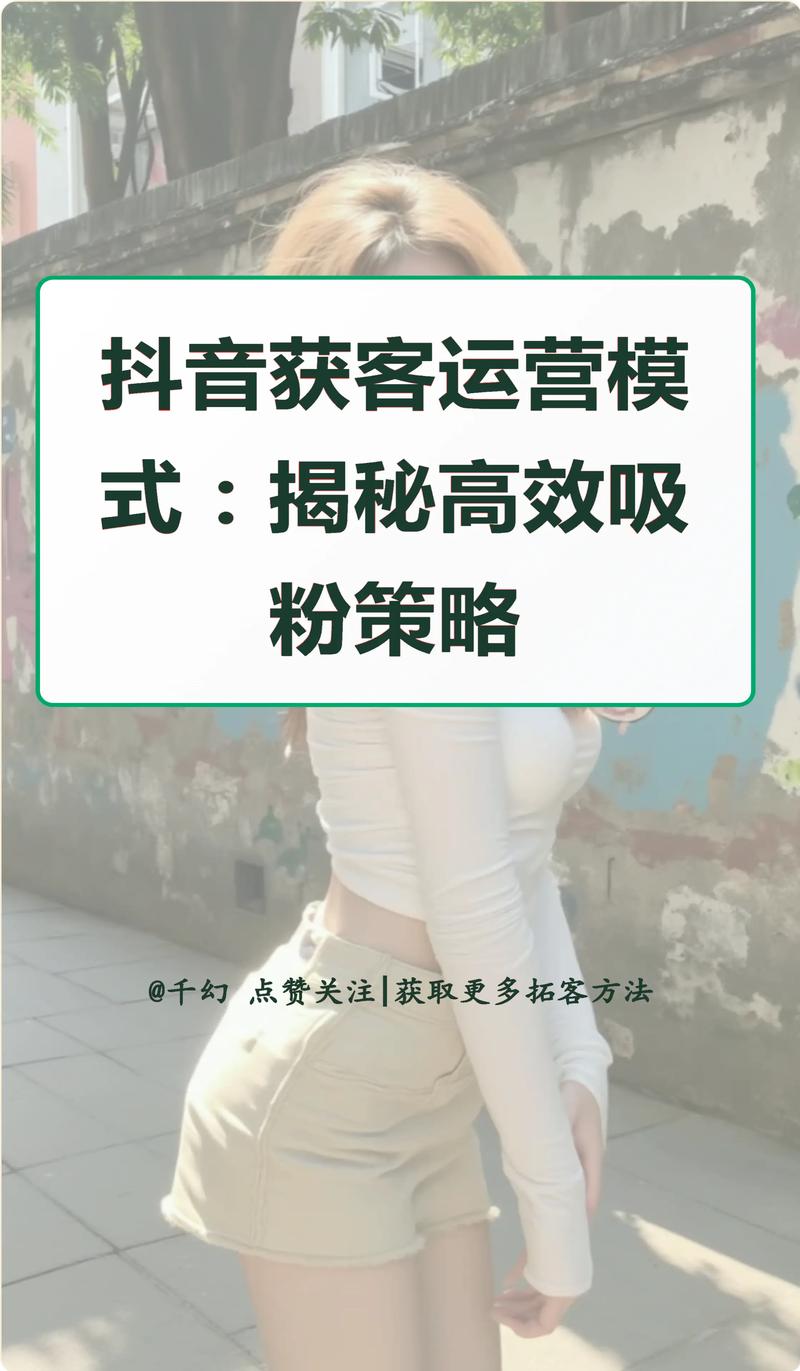 抖音测有效粉丝,抖音测有效粉丝:深度洞察与策略应用!