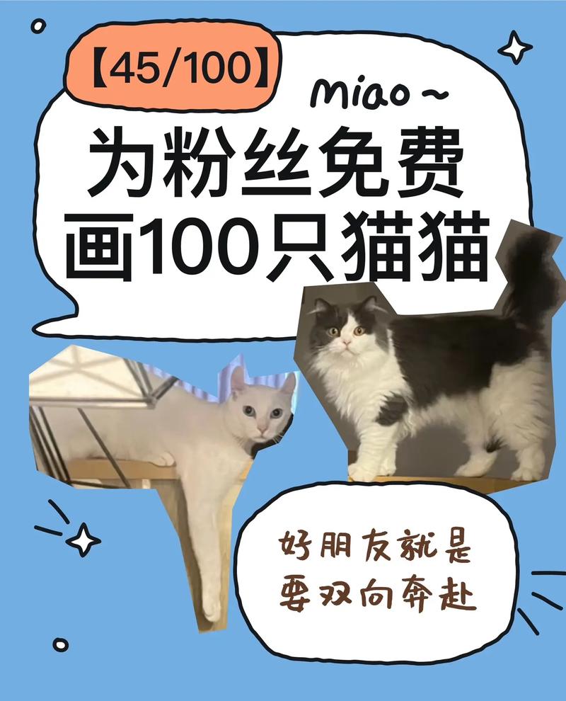 抖音粉丝业务下单网站猫猫耶