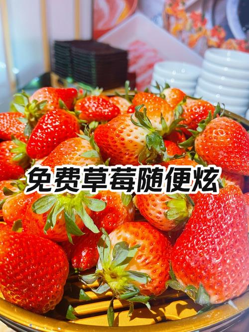 草莓业务自助下单平台下载