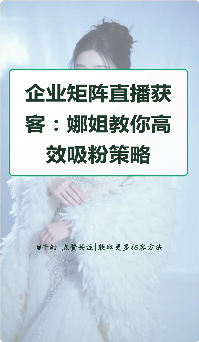 抖音业务对接直播粉丝,抖音业务对接直播粉丝的深度分析与策略实践!
