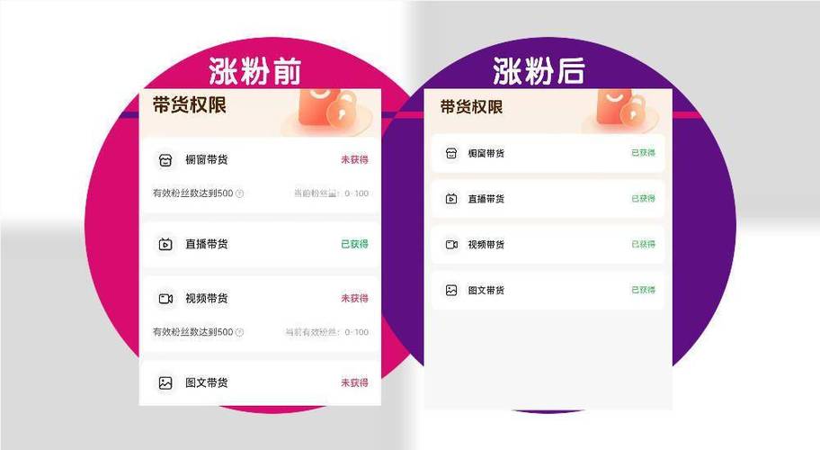 抖音粉丝业务24小时,抖音粉丝业务24小时:深入探索与推广策略!