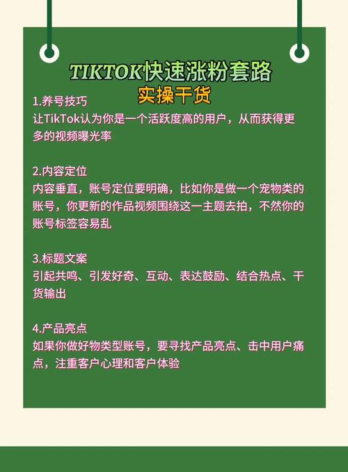 tiktok新手怎样快速涨粉,TikTok新手如何快速涨粉：策略与实践!