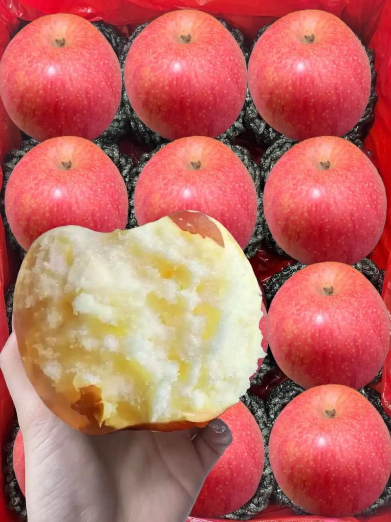 免费抖音刷粉苹果