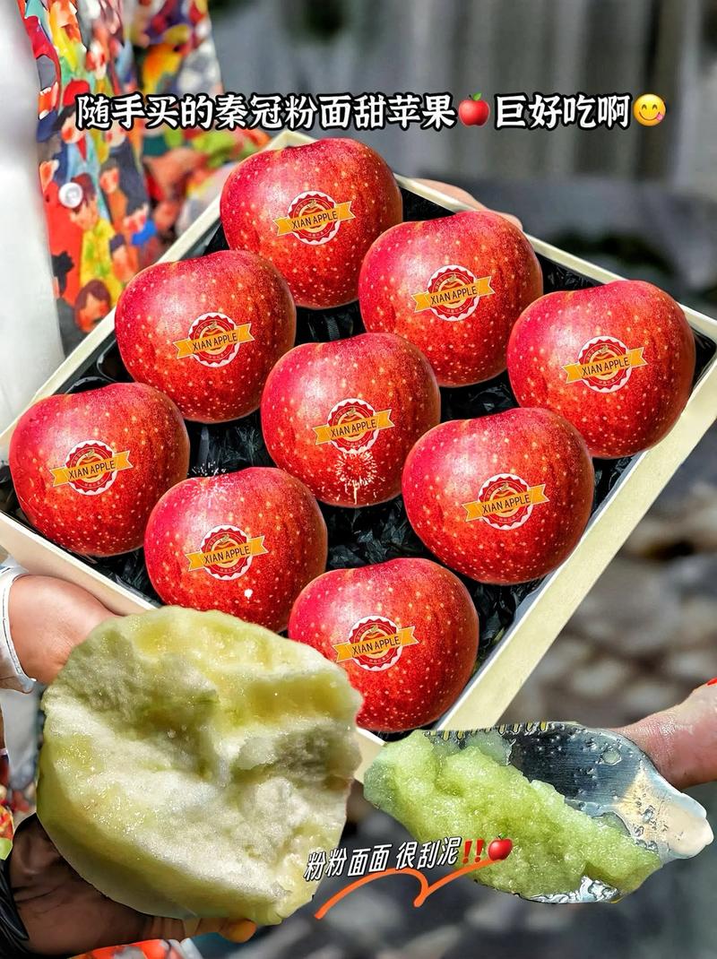 免费抖音刷粉苹果