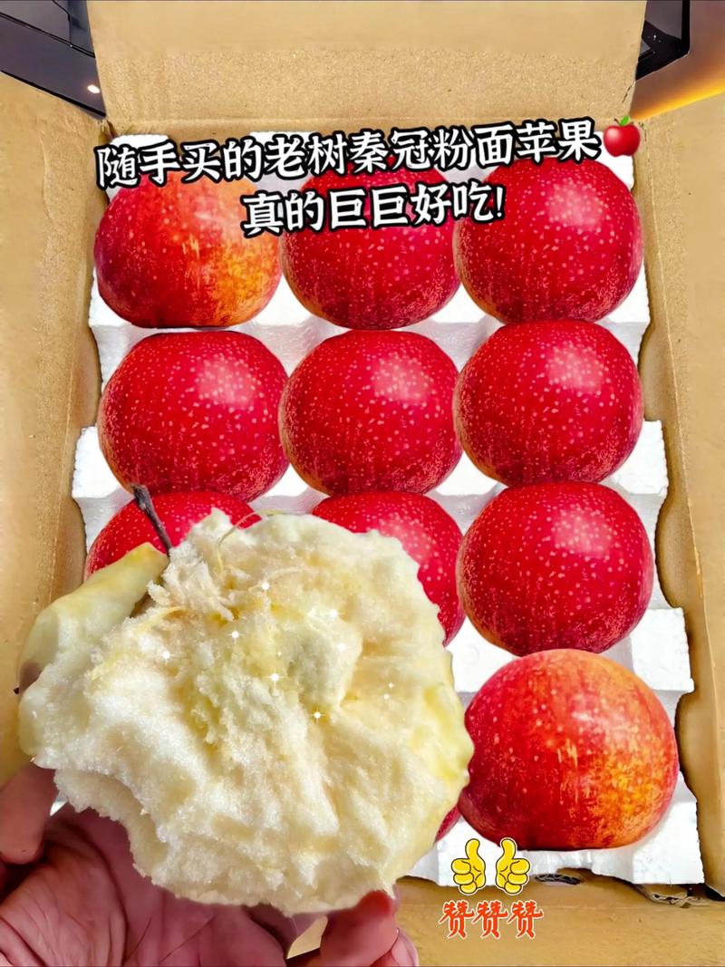 免费抖音刷粉苹果