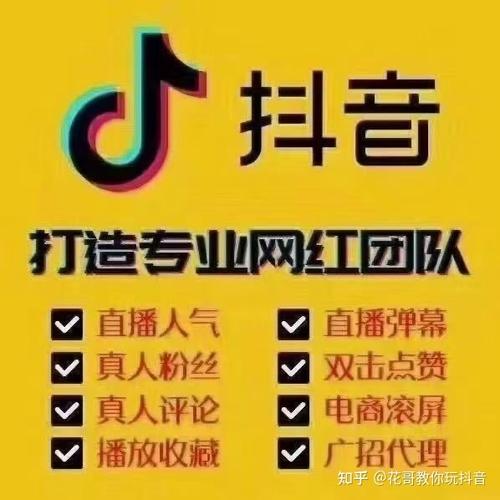 加盟抖音刷粉