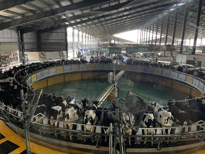 奶牛实体自助下单,随着科技的飞速发展，传统的畜牧业也正经历着一场革命性的变革。其中，奶牛实体自助下单模式的出现无疑为我们的畜牧业带来了全新的发展机遇与挑战。本文将探讨奶牛实体自助下单模式的兴起背景、实际应用场景、操作流程、潜在优势与挑战，以及对此模式的深入分析和展望。!