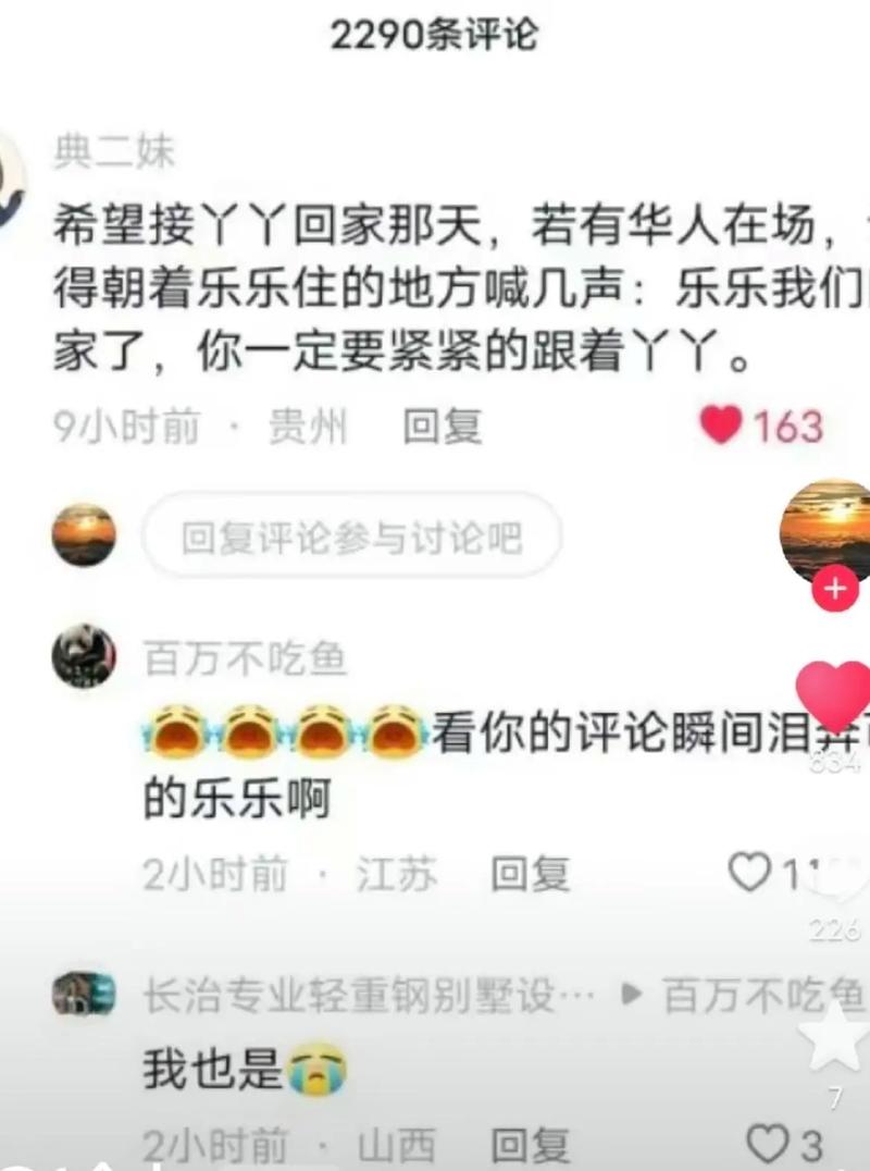 淘宝刷的抖音评论