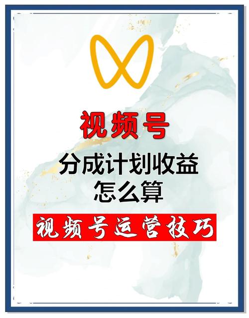 标题:从0到百万粉丝:揭秘视频号爆款打造的核心增长策略与实战方法论