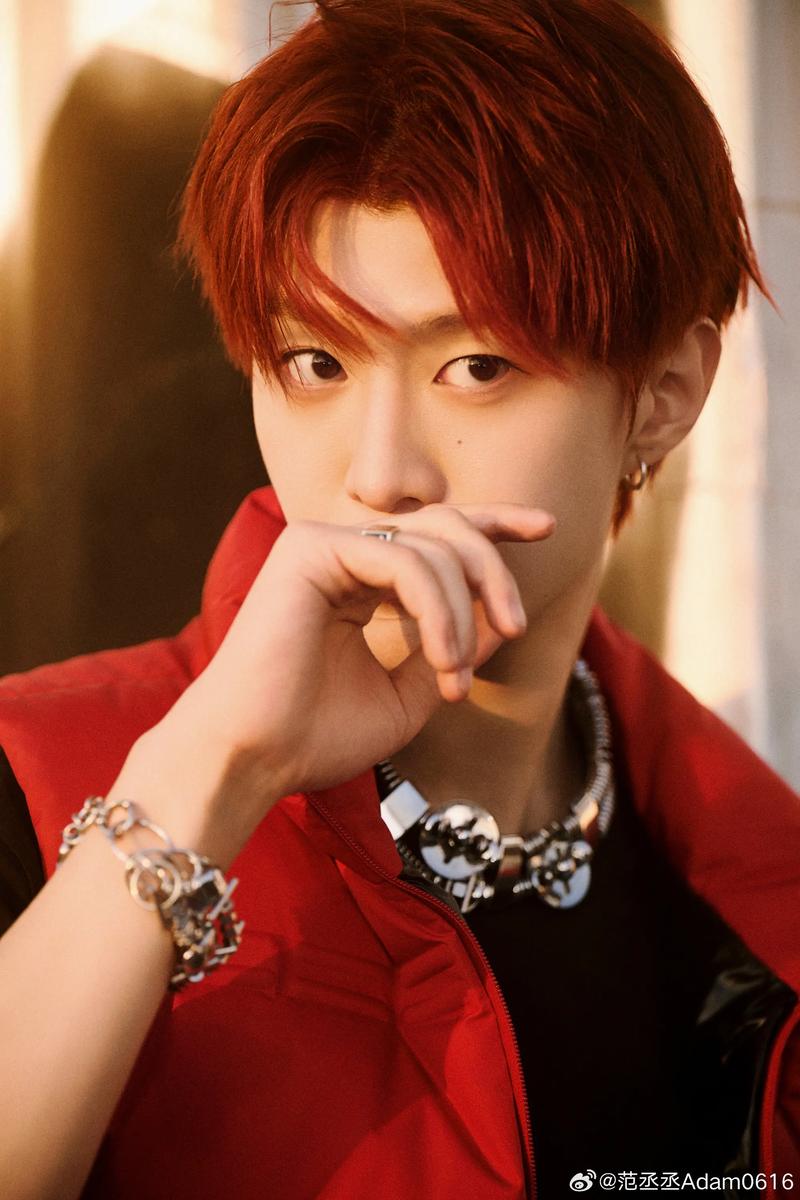 标题：范丞丞抖音涨粉狂潮：现象级速度背后的流量密码与行业启示