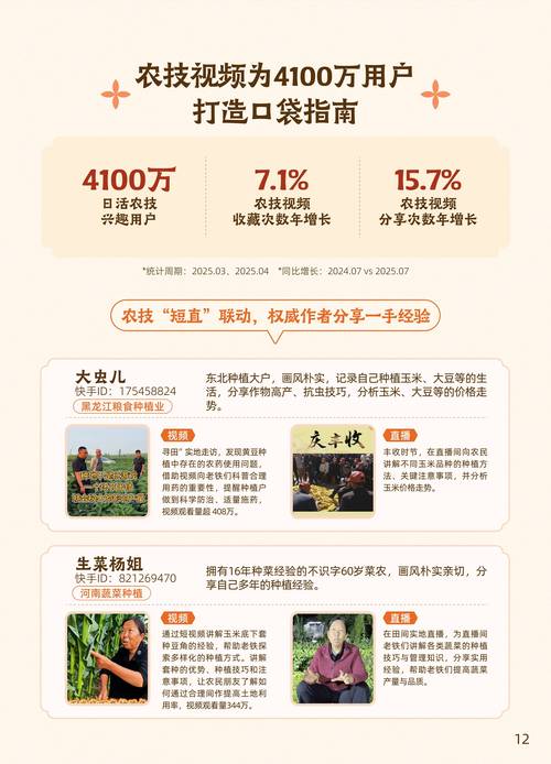 标题：揭秘快手红人崛起密码：免费流量池背后的平台逻辑与生态博弈