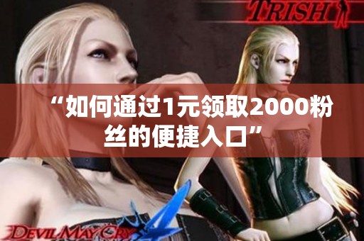 “如何通过1元领取2000粉丝的便捷入口”
