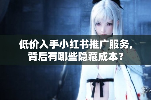 低价入手小红书推广服务,背后有哪些隐藏成本? 低价入手小红书推广服务,背后有哪些隐藏成本?