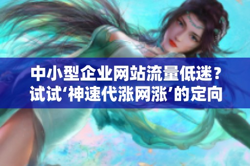 中小型企业网站流量低迷？试试‘神速代涨网涨’的定向推广策略