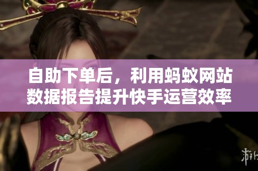 自助下单后,利用蚂蚁网站数据报告提升快手运营效率的策略分析 自助下单后,利用蚂蚁网站数据报告提升快手运营效率的策略分析