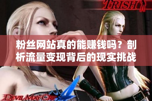 粉丝网站真的能赚钱吗？剖析流量变现背后的现实挑战