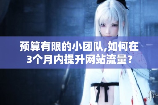 预算有限的小团队,如何在3个月内提升网站流量？