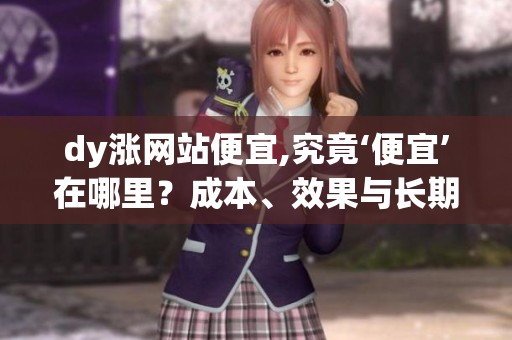 dy涨网站便宜,究竟‘便宜’在哪里?成本、效果与长期价值的权衡 dy涨网站便宜,究竟‘便宜’在哪里?成本、效果与长期价值的权衡
