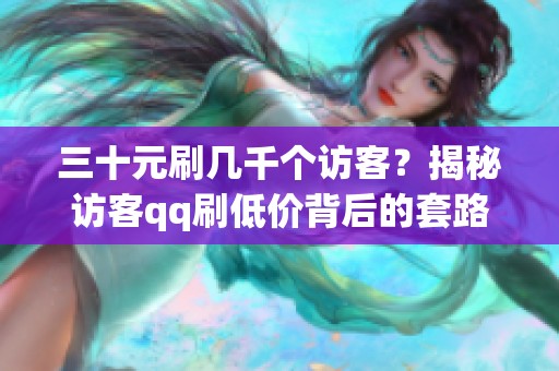 三十元刷几千个访客?揭秘访客qq刷低价背后的套路 三十元刷几千个访客?揭秘访客qq刷低价背后的套路