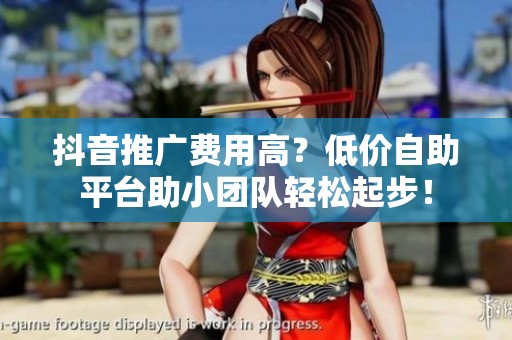 抖音推广费用高?低价自助平台助小团队轻松起步! 抖音推广费用高?低价自助平台助小团队轻松起步!