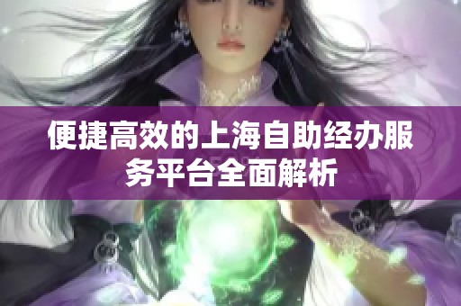 便捷高效的上海自助经办服务平台全面解析 便捷高效的上海自助经办服务平台全面解析