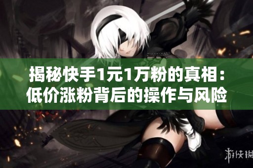 揭秘快手1元1万粉的真相:低价涨粉背后的操作与风险 揭秘快手1元1万粉的真相:低价涨粉背后的操作与风险