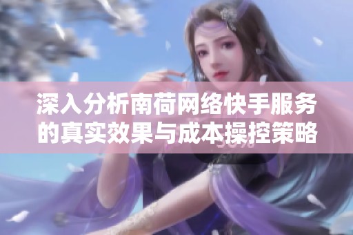 深入分析南荷网络快手服务的真实效果与成本操控策略