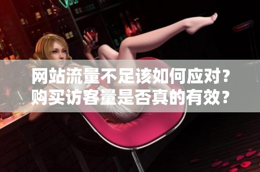网站流量不足该如何应对?购买访客量是否真的有效? 网站流量不足该如何应对?购买访客量是否真的有效?