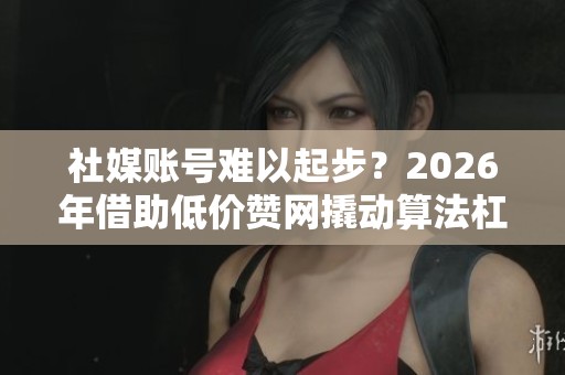 社媒账号难以起步?2026年借助低价赞网撬动算法杠杆的策略 社媒账号难以起步?2026年借助低价赞网撬动算法杠杆的策略