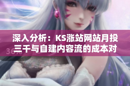 深入分析:KS涨站网站月投三千与自建内容流的成本对比 深入分析:KS涨站网站月投三千与自建内容流的成本对比