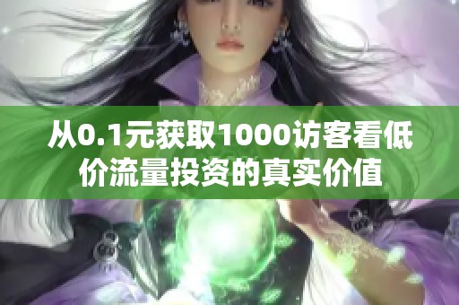从0.1元获取1000访客看低价流量投资的真实价值 从0.1元获取1000访客看低价流量投资的真实价值