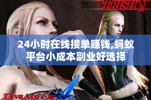 24小时在线接单赚钱,蚂蚁平台小成本副业好选择