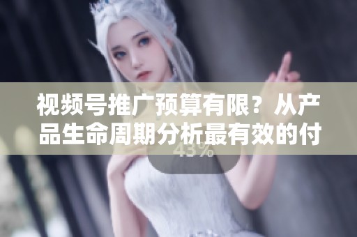视频号推广预算有限?从产品生命周期分析最有效的付费策略 视频号推广预算有限?从产品生命周期分析最有效的付费策略