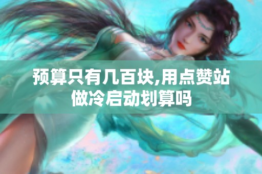 预算只有几百块,用点赞站做冷启动划算吗 预算只有几百块,用点赞站做冷启动划算吗