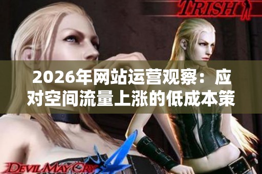 2026年网站运营观察:应对空间流量上涨的低成本策略解析 2026年网站运营观察:应对空间流量上涨的低成本策略解析