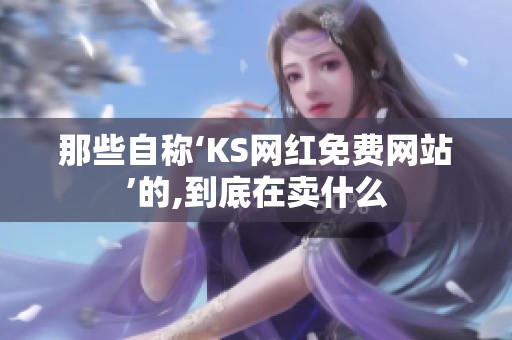 那些自称‘KS网红免费网站’的,到底在卖什么 那些自称‘KS网红免费网站’的,到底在卖什么