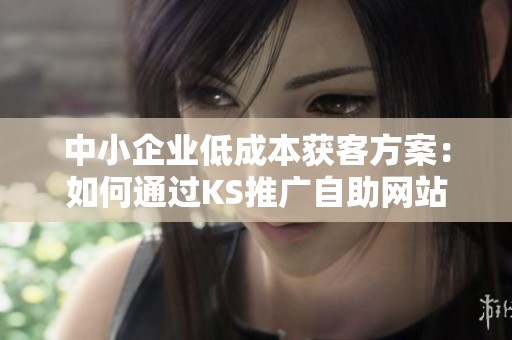中小企业低成本获客方案：如何通过KS推广自助网站实现客户增长