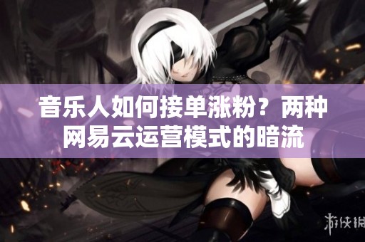 音乐人如何接单涨粉?两种网易云运营模式的暗流 音乐人如何接单涨粉?两种网易云运营模式的暗流